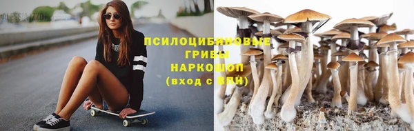 прущие крисы Покачи