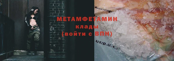 прущие грибы Покровск