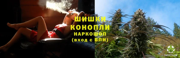 PSILOCYBIN Покров