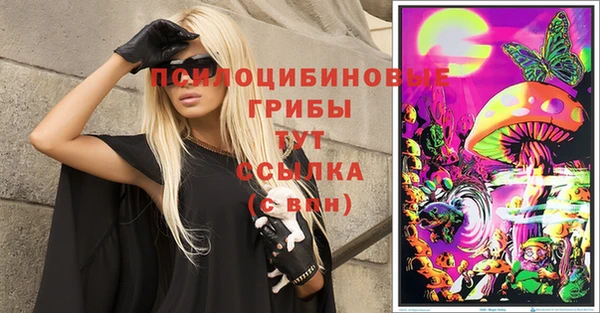 прущие грибы Покровск