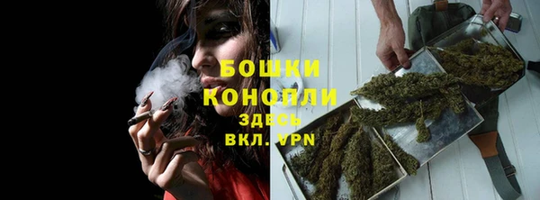 PSILOCYBIN Покров