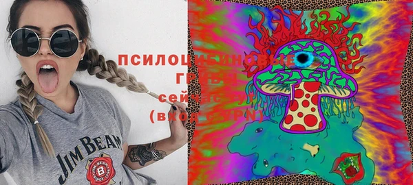 PSILOCYBIN Покров