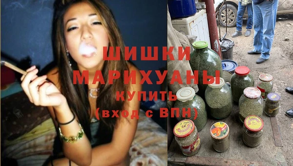 PSILOCYBIN Покров