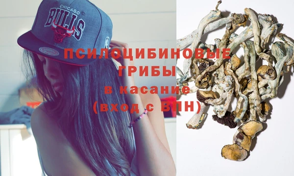 прущие грибы Покровск