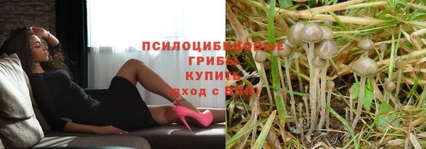 PSILOCYBIN Покров