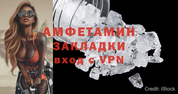 прущие грибы Покровск